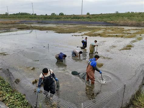 【保护长江水生生物多样性的“三峡方案”】-长江经济带