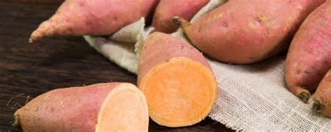 地瓜与红薯是一样的吗？如何区分与食用？_360新知