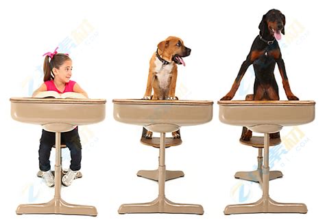 课桌上女孩与小狗高清图片下载-找素材