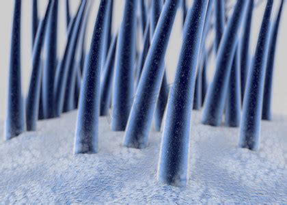 科学家在研究人体结构中头发细胞组织图片下载 - 觅知网