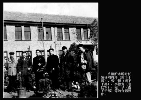 上世纪五十年代岳阳贮木场影像 - 摄影展区 - 湖湘工业文化遗产摄影、征文展 - 华声在线专题