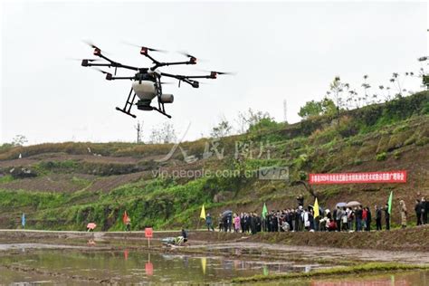 重庆丰都：推广水稻播种插秧机械化-人民图片网