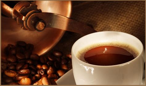 世界咖啡文化 - 咖啡文化 - 塞纳左岸咖啡官网