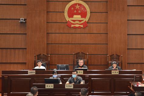 益阳赫山法院审理一起涉22名被告人的刑事案件-中国法院网