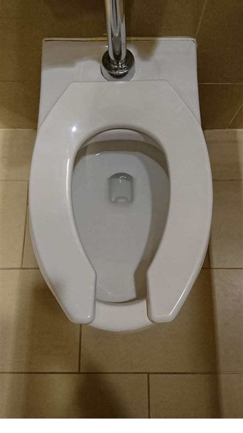 为什么美国的女厕所，马桶前都会有一个缺口？看完算长知识了 飞扬头条_飞扬网