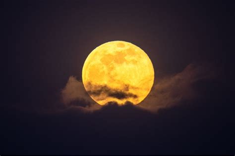 超级月亮现身夜空 如何拍摄出一轮绝美的圆月-影像中国网-中国摄影家协会主办