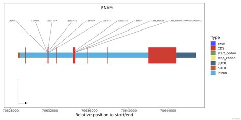 R语言画基因突变结构图_绘制基因突变-CSDN博客