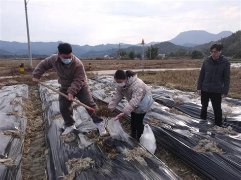 【护航春耕生产】扶溪镇开展农资专项检查 - 仁化县人民政府门户网站