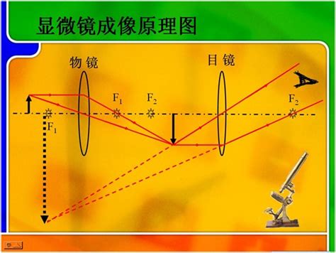 望远镜原理图解图片