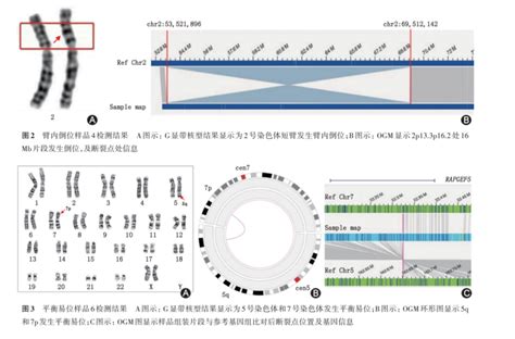 基于线粒体COI和12S rDNA基因构建珠江河口鱼类DNA宏条形码数据库