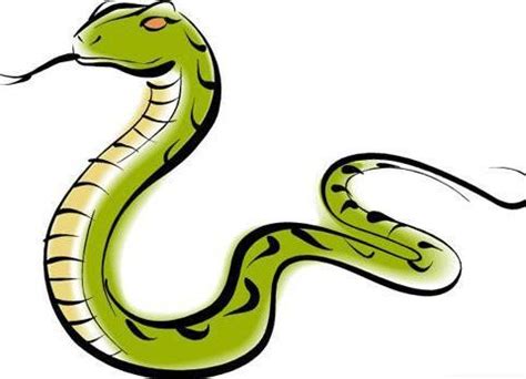属蛇的贵人是什么属相-393信息网