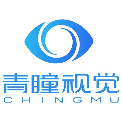 上海青瞳视觉科技有限公司 - 爱企查