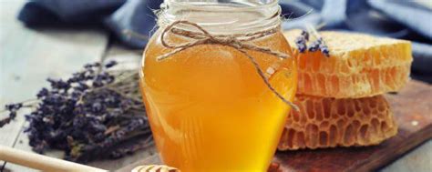 虎头蜂泡酒的功效与作用及禁忌人群 - 虎头蜂 - 酷蜜蜂