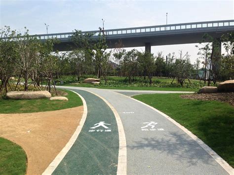 东湖路市民公园入选全省首批海绵城市建设典型案例