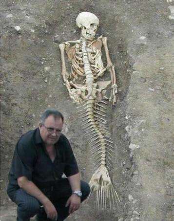 各地不断发现人鱼化石，美人鱼真的存在吗？科学家表示不否认