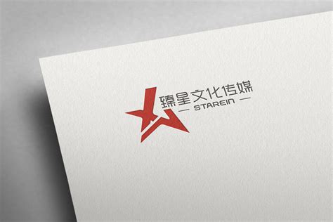 文化传媒公司标志logo/VI设计-苏州臻星文化传媒 -苏州|昆山标志LOGO设计公司-极地视觉
