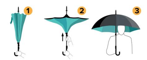 雨伞的伞怎么读,雨伞的伞怎么读拼音,汉字拼音怎么拼写_大山谷图库