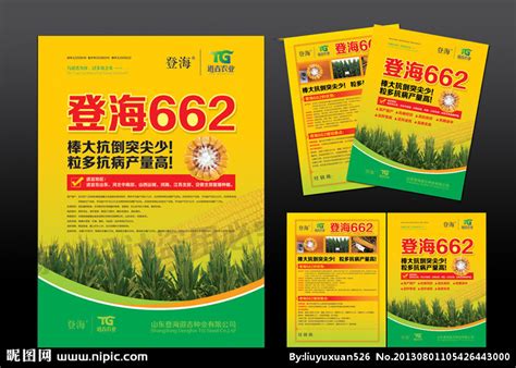 玉米种子海报和宣传单设计图__室内广告设计_广告设计_设计图库_昵图网nipic.com
