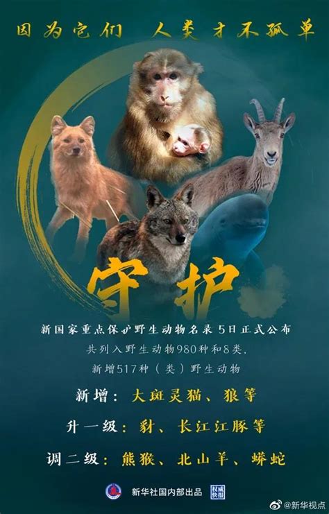 广东省常见三有保护野生动物图谱
