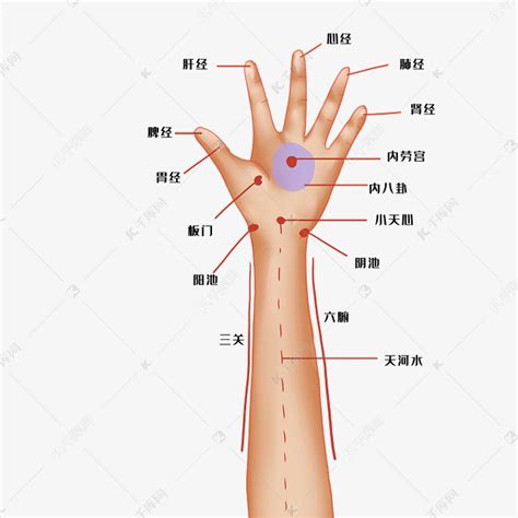 中医理疗手掌穴位素材图片免费下载-千库网