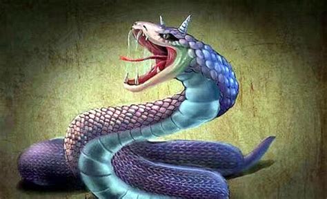 蛇会有复仇的心理吗?历史上一些记载,表明了蛇的嗔恨心极强|官吏|青蛙|复仇_新浪新闻