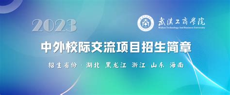 武汉工商学院国际教育学院参加 2023年“留华桥”中国高等教育线上展会