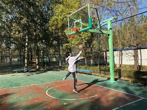 王源愚人节假装在北京 晒公园打球照片逗粉丝_手机新浪网