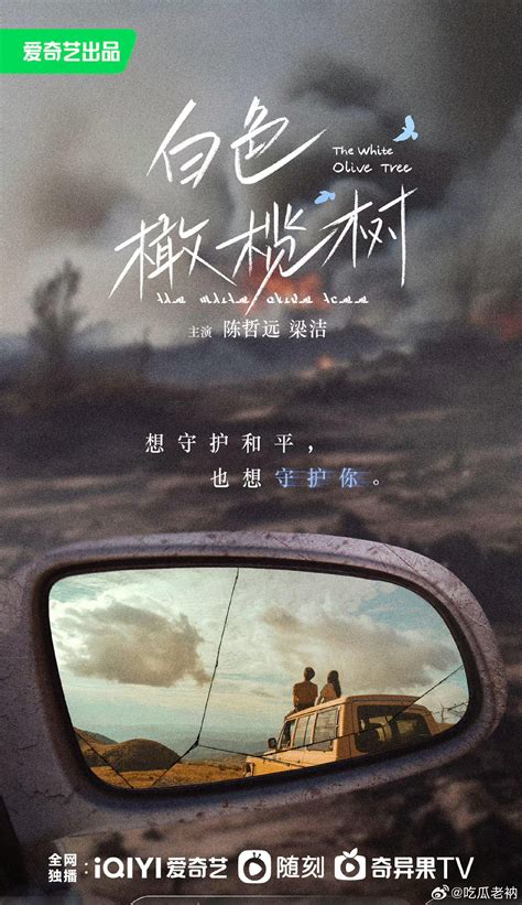 白色橄榄树图片