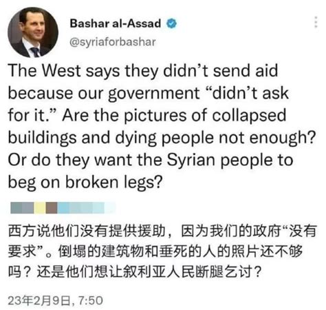 如何评价叙利亚总统巴沙尔阿萨德 | 灵猫网