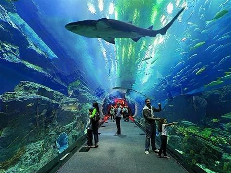 世界上最好的海洋馆和动物园有哪些？ - 知乎