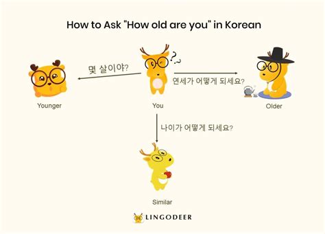 问一下大家都是怎么学韩语的? - 知乎