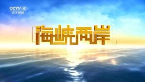中央电视台中文国际频道 - 搜狗百科