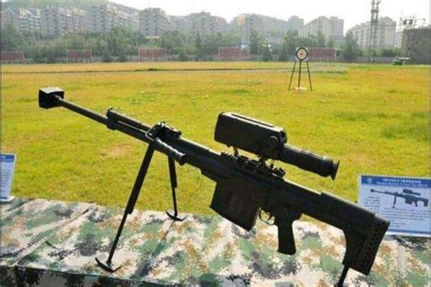 世界十大狙击枪排行榜 可惜中国无一上榜_武器_第一排行榜