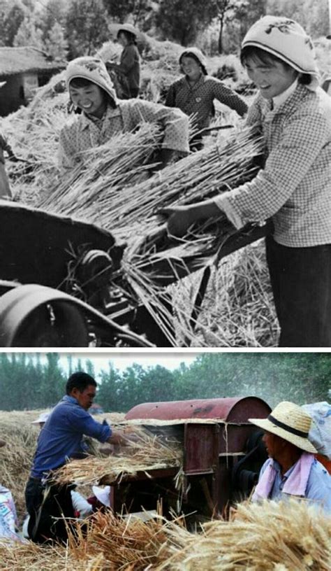 老照片：60年代扬州农村劳动生活的场景，值得收藏！ - 派谷照片修复翻新上色