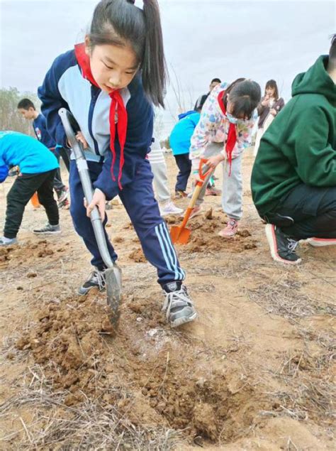 贵州从江：小学生植树添新绿
