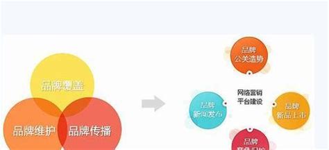 SEO优化对网站流量的影响详解（从10个方面分析SEO优化对网站流量的影响）-8848SEO