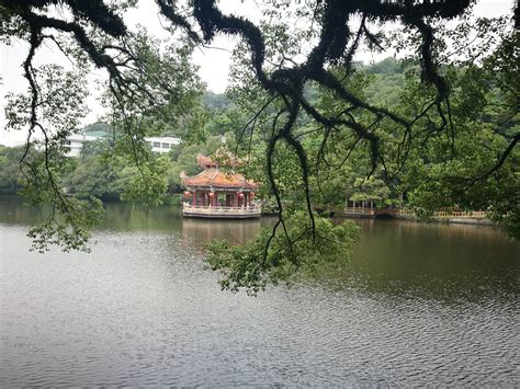 广东潮州有一座慧如公园，环境优美，园中摩天轮可以俯览城市美景|潮州市_新浪新闻
