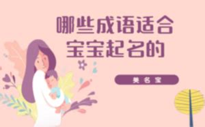 2023正版小学生成语词典 - 惠券直播 - 一起惠返利网_178hui.com