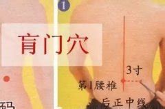 腰俞的准确位置图图片 腰俞的准确位置图图片