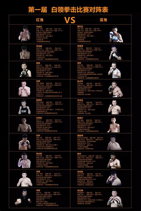 WBO（世界拳击组织）历届重量级拳王