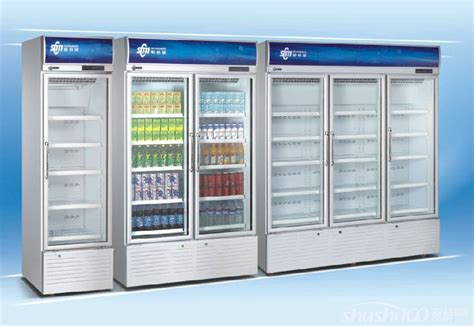 大型商用冰柜—大型商用冰柜品牌推荐 - 舒适100网