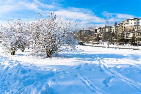 冬季城市美丽的雪景摄影jpg格式图片下载_熊猫办公