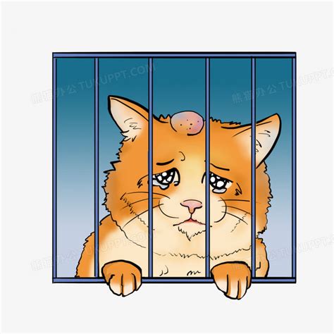 卡通手绘被关在笼子里的猫咪免抠元素PNG图片素材下载_猫咪PNG_熊猫办公