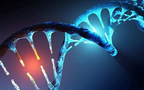 ADN : une nouvelle forme découverte dans des cellules humaines -- Science et ...