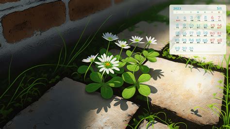 月历壁纸/2024年10月～12月部分cr.@verw图片