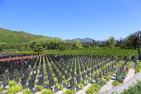 八宝山人民公墓景观之墓地-北京公墓网