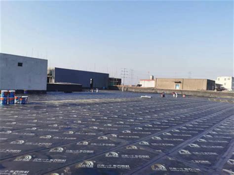 2015长春彩钢板防水楼顶防水 价格:035元/平方米
