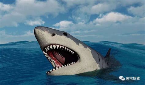 巨齿鲨是虚构的，而这个“海洋杀手”是真的存在|免疫力|创伤|海洋_新浪科技_新浪网