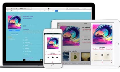 苹果iTunes下载-2023最新版-数字媒体播放程序