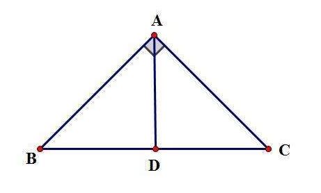 三角形的周长公式和面积公式